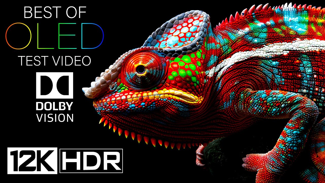 12K HDR 240fps DOLBY VISION OLED Test Video (2024)