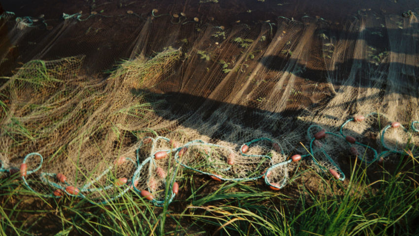 We The Landscape - (Re)wilding Waters 2024