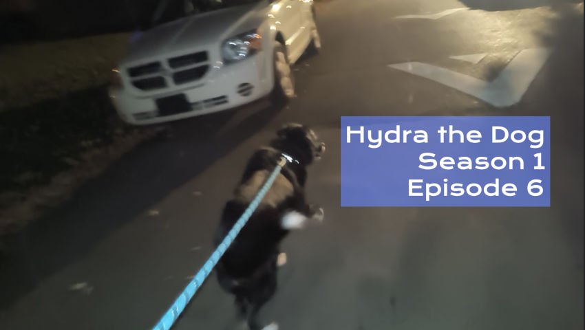 Hydra the Dog S1 Ep6