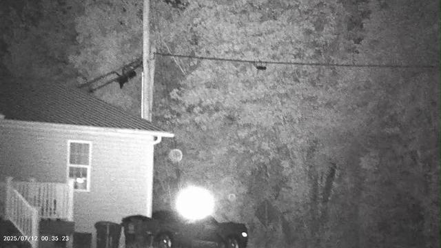 6 of 10, "NIGHT VISION-SPIRIT ORB'S" I WAS TOLD THEY ROAM OUR HEAVEN ABOVE US AND AMONG US.