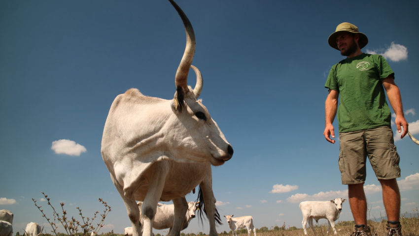 Brno Czech Republic: Affordable, local protein for every farm by programmable du... (2025) - Project Promotion [English]