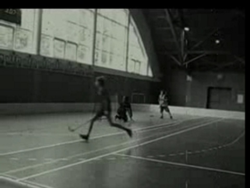 Czech floorball team