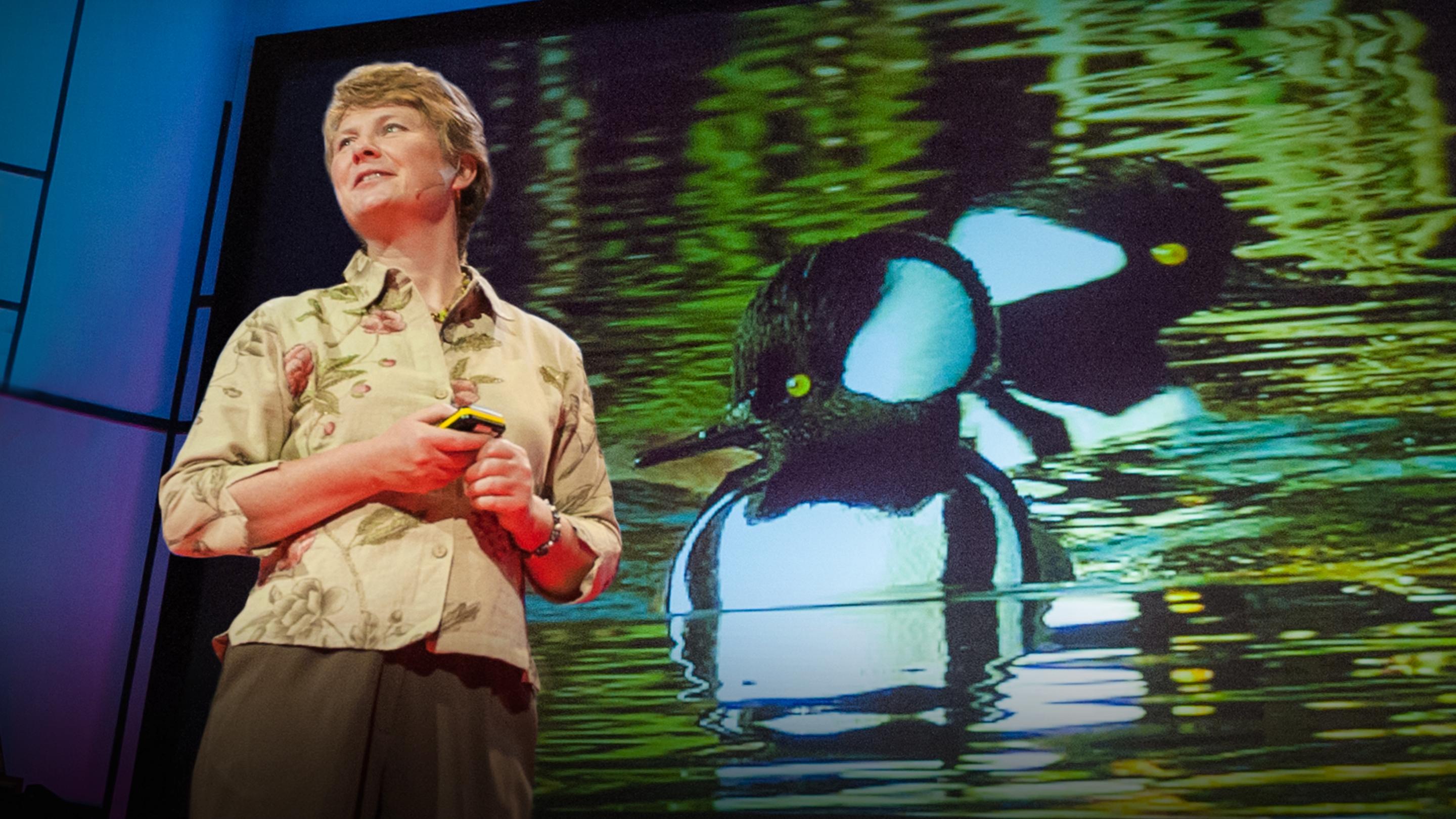 Biomimicry in action