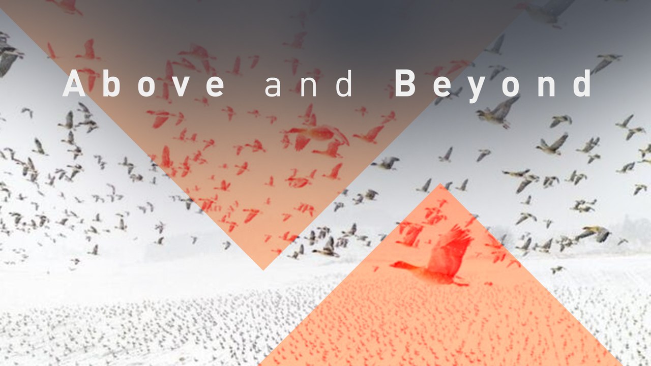 Above and Beyond