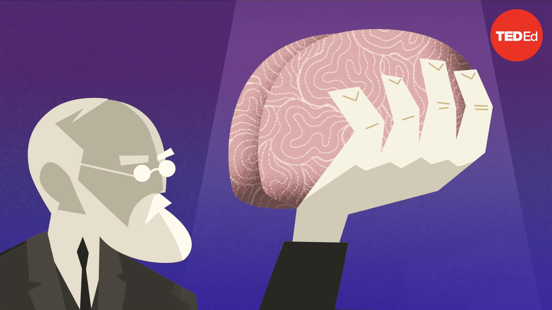 History vs. Sigmund Freud
