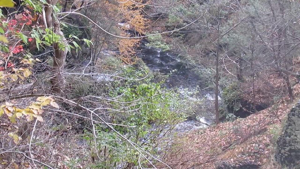 Raymondskill (frm above) 2018-11-01 422