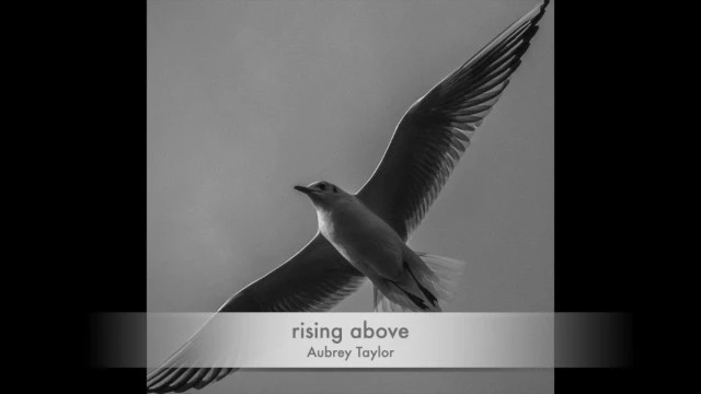 rising above - SD 480p