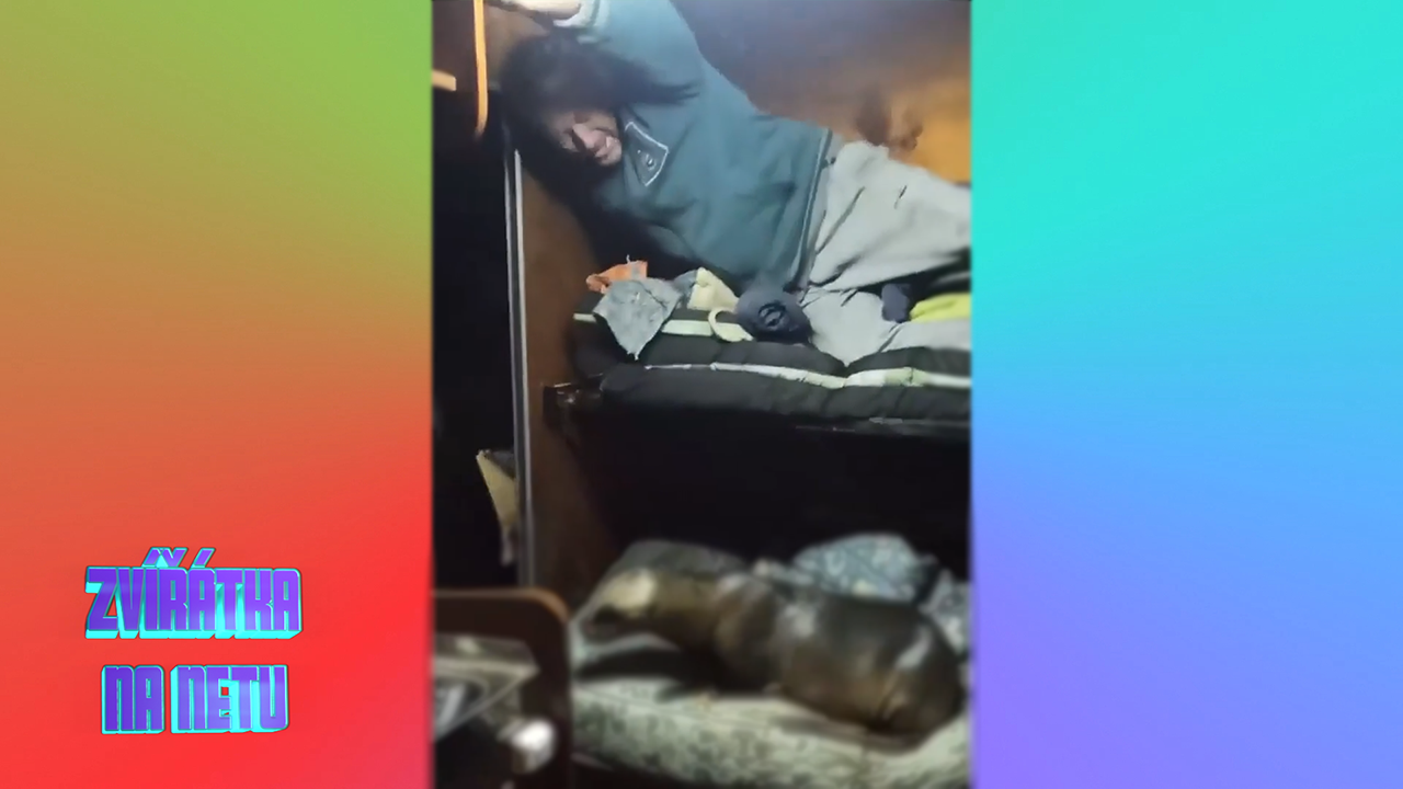 Rybáři našli ve své posteli mořského vetřelce. Prozradil se chrápáním