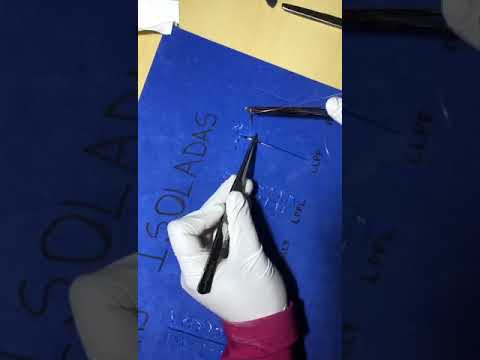 Sutura isolada LLPP