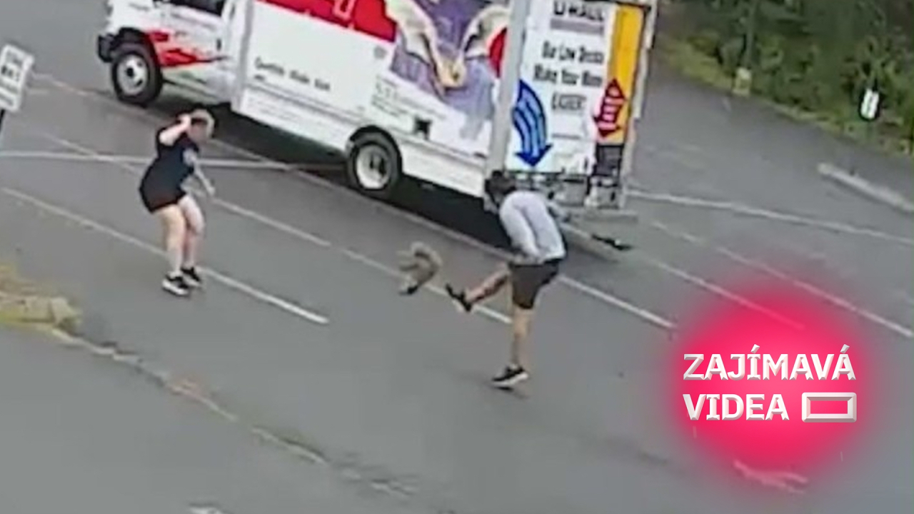 Suchozemská lochneska? Lidé se bojí útoků záhadného zvířete