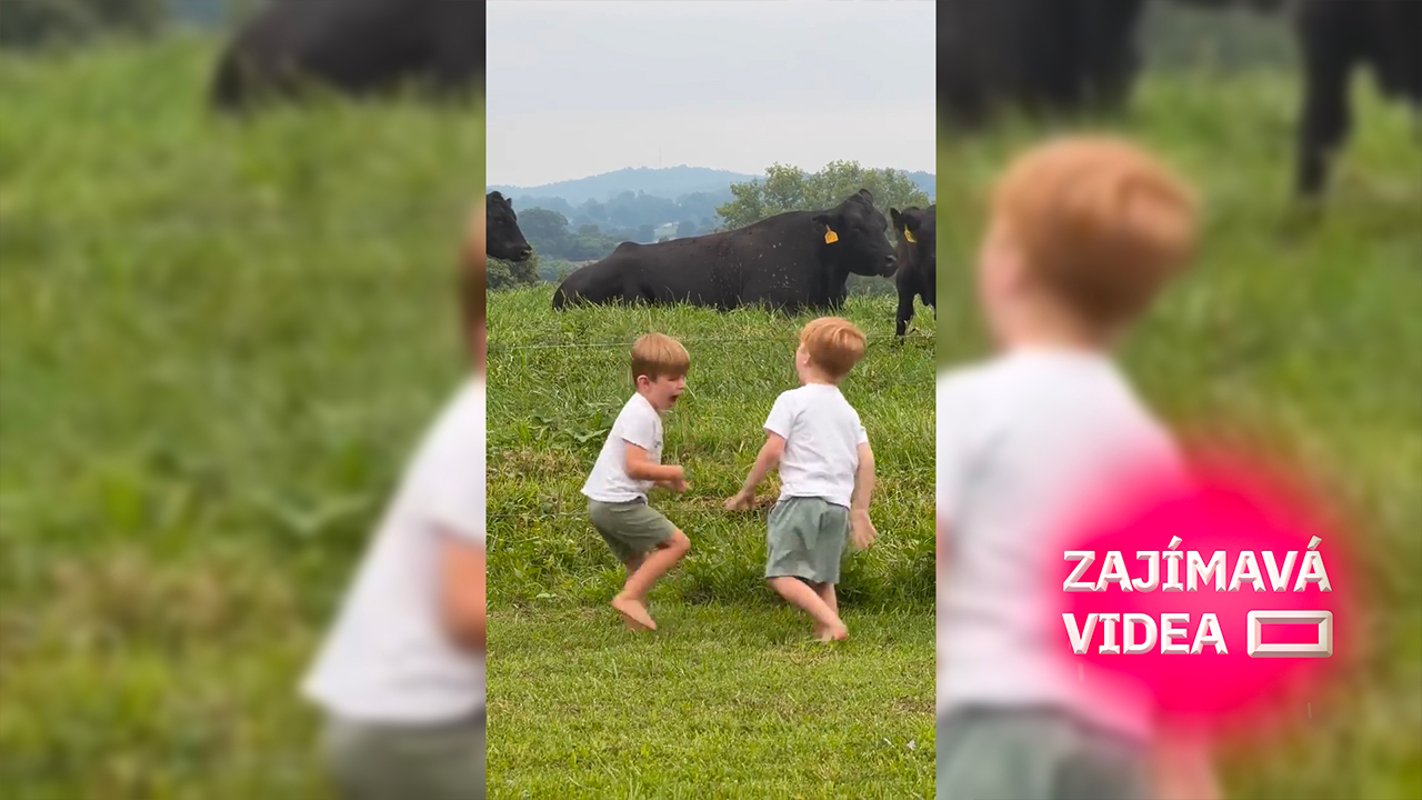 Je ten ohradník pod proudem? Dva malí chlapci v praxi objevili vodivost