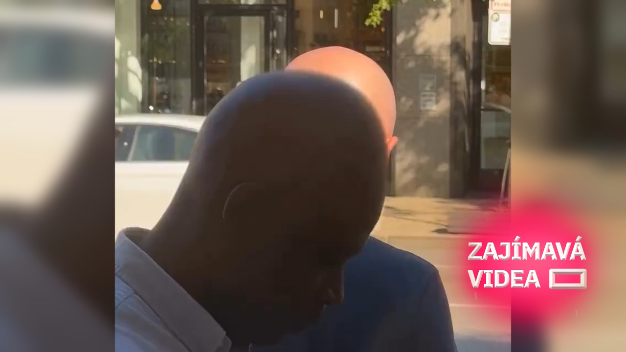 Dva plešouni názorně ukázali, jak dochází k zatmění Slunce