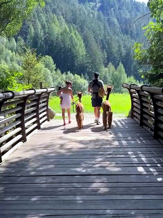 Millie Bobby Brown and Jake Bongiovi's family vacation