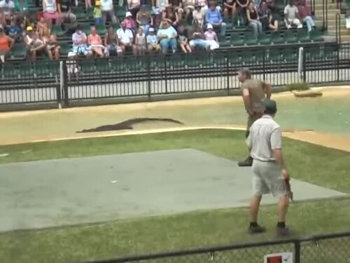 Steve Irwin in Action-6HgHhHNC92M
