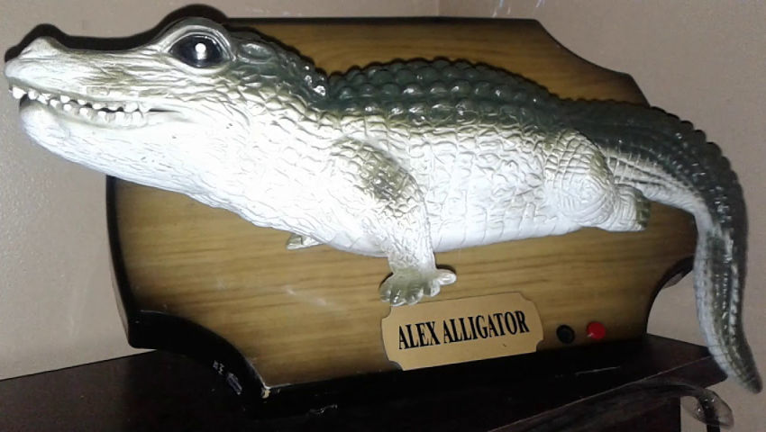 Alex alligator (after repairs)