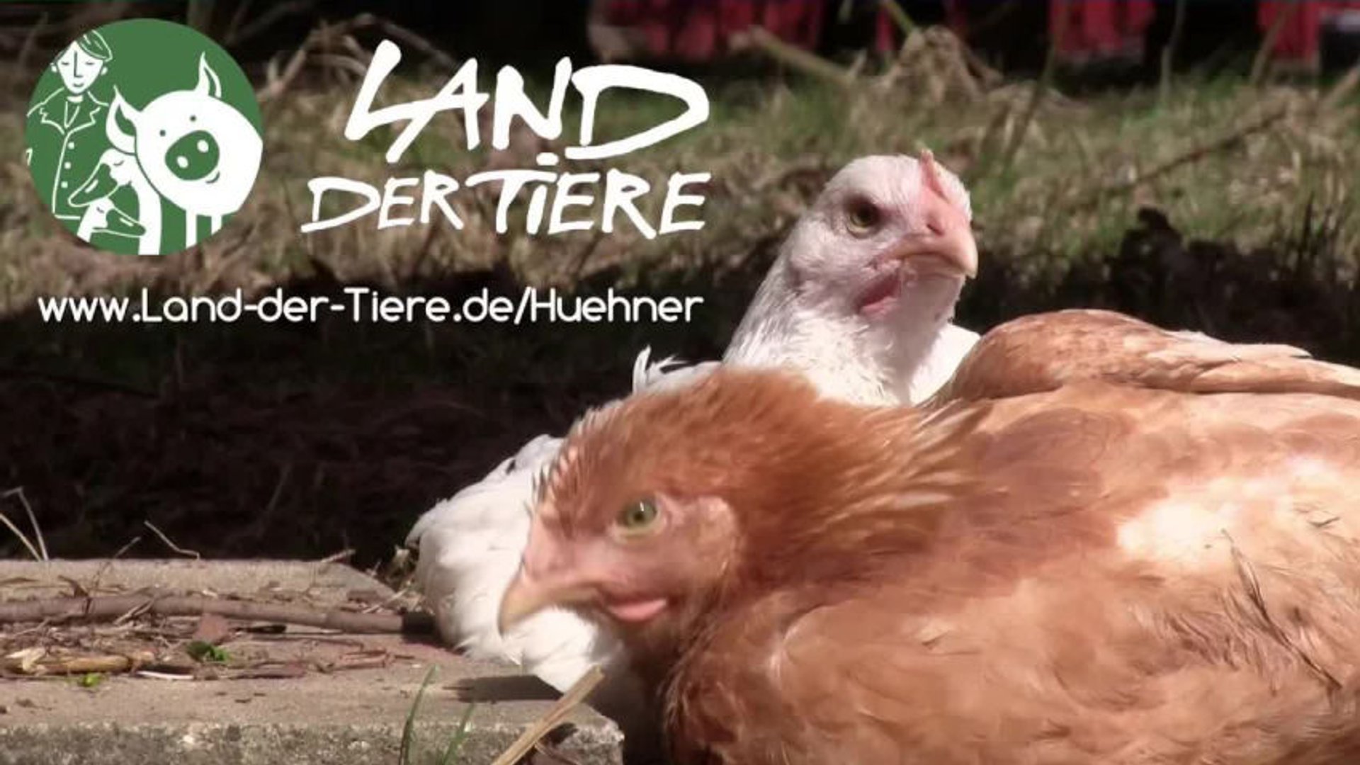Ankunft von Alex und Winni