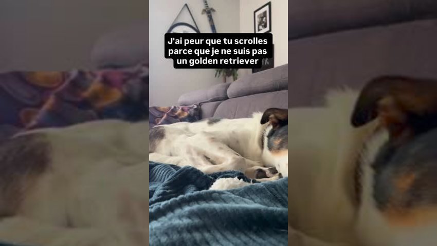Vidéo de plume_et_riley