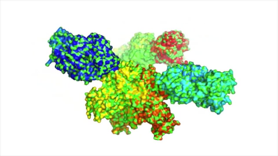 3csy PyMol Movie