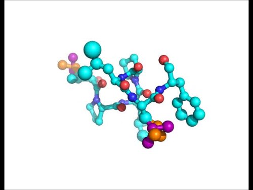 Genomic-and-Metabolomic-Insights-into-the-Natural-Product-Biosynthetic-Diversity-of-a-Feral-Hog-pone.0090124.s021