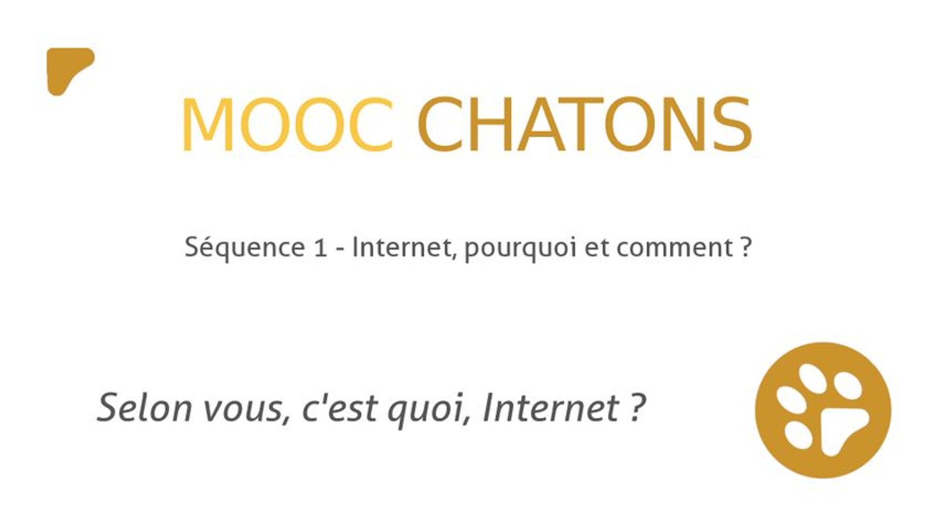 1.1. Selon vous, c'est quoi Internet ?