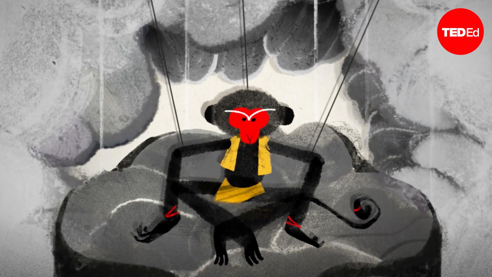 The real tale of the Monkey King in Heaven