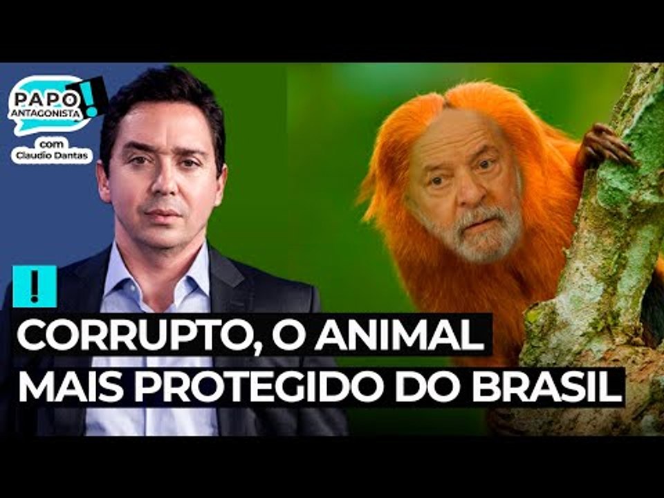 CORRUPTO, O ANIMAL MAIS PROTEGIDO DO BRASIL - Papo Antagonista com Claudio Dantas