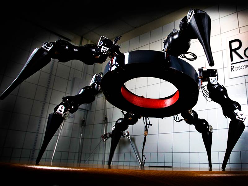 My seven species of robot -- and how we created them