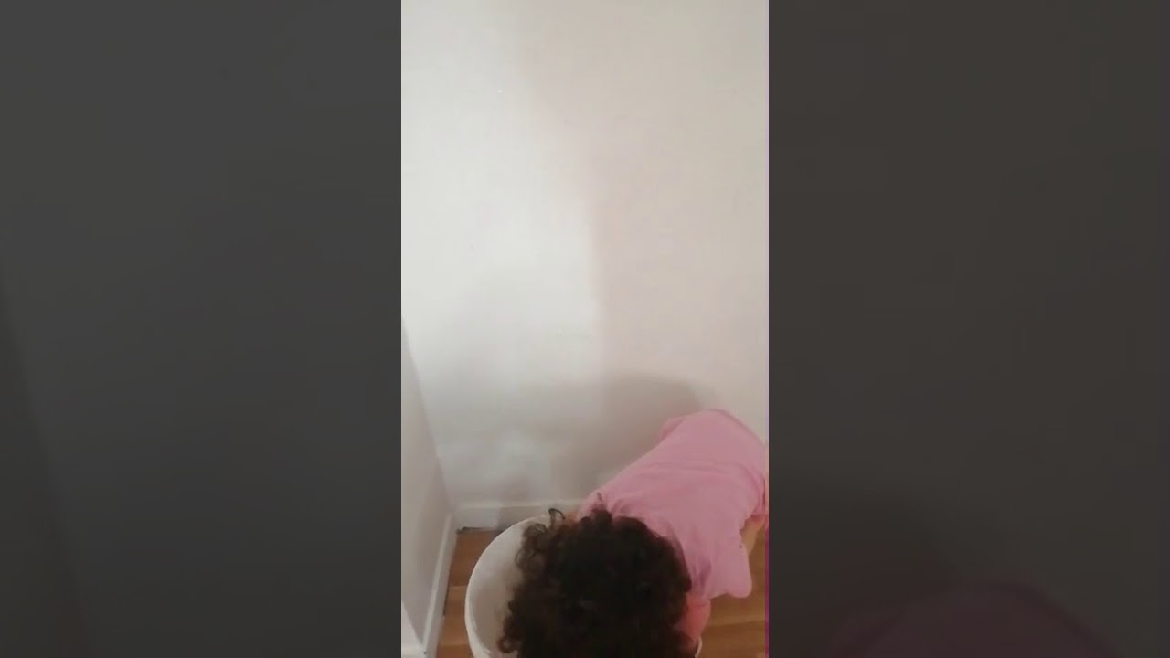Aprenda a pintar com a Bianca Dantas Garcia