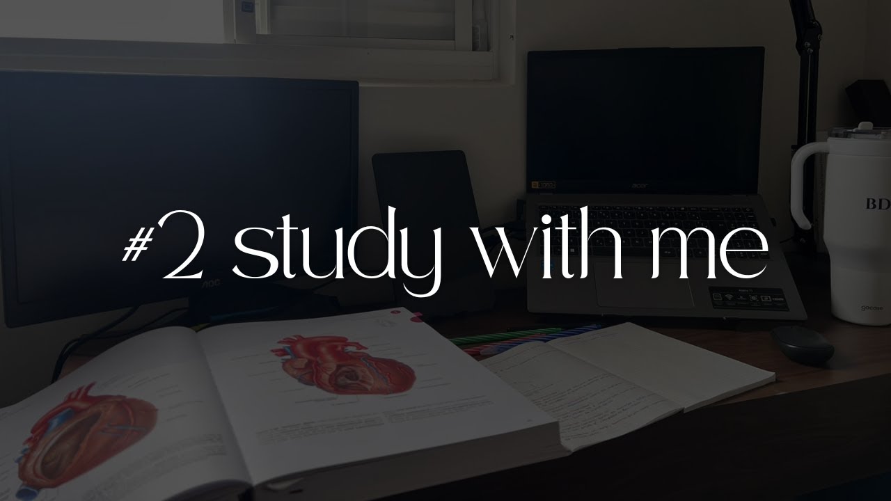 Estude comigo em tempo real por 3h | white noise | #2 real time study with me