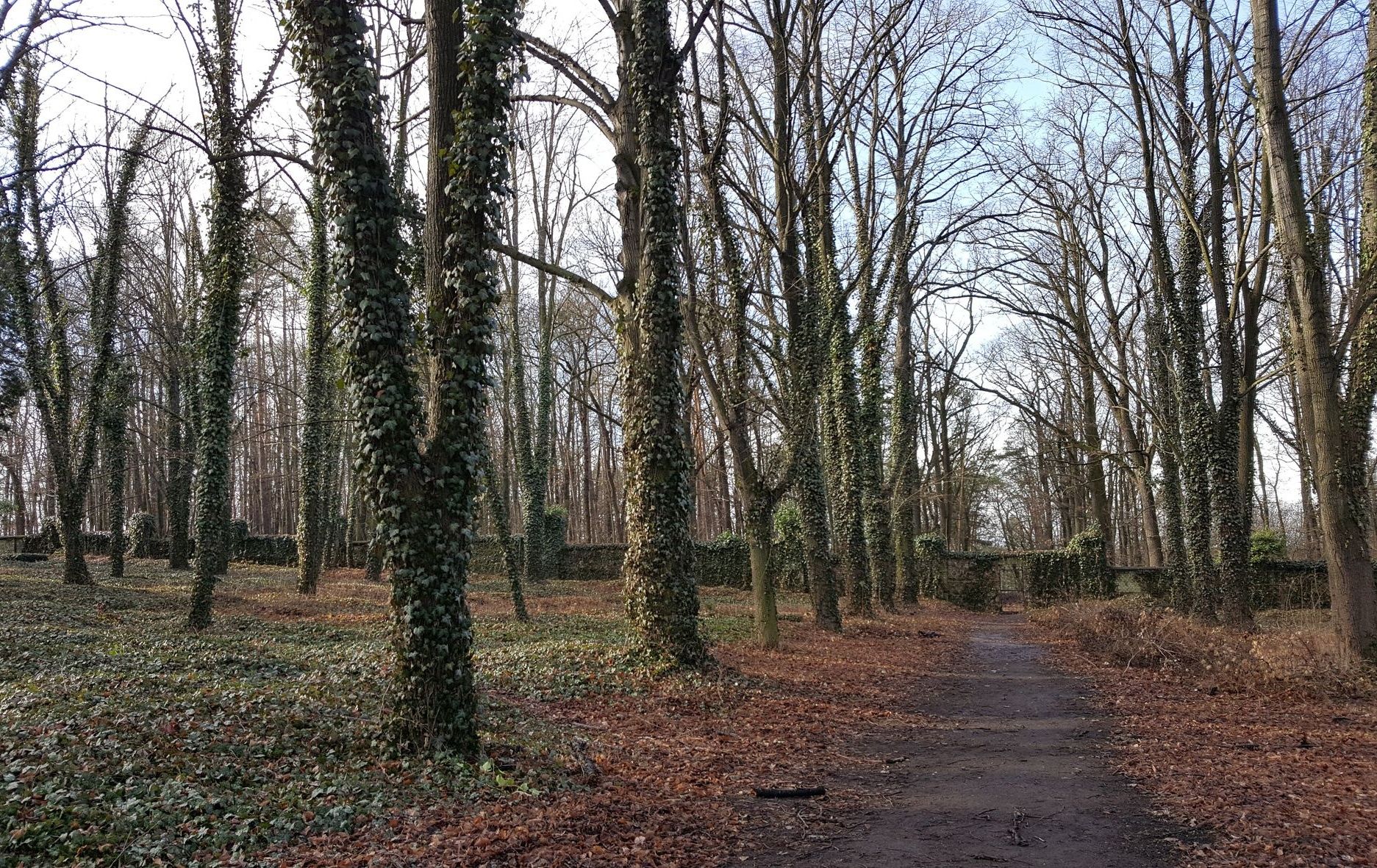 Hidden Prague: exploring Bohnice’s quiet cemetery and scenic vistas