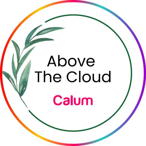 4. Calum - Above The Cloud