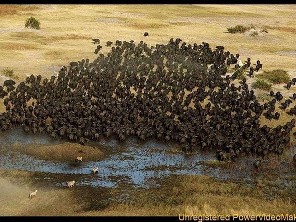 Africa from above
