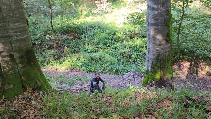 I live 25 meters above the ground. Safe place from wild animals and from BEAR