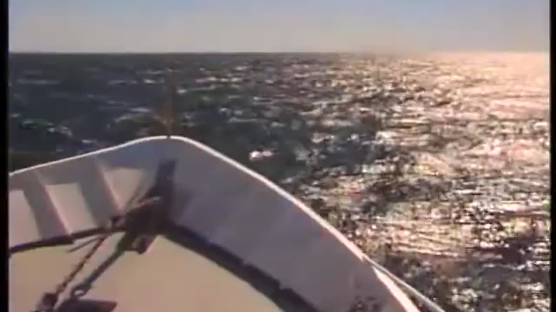 Finding Fish from Above
