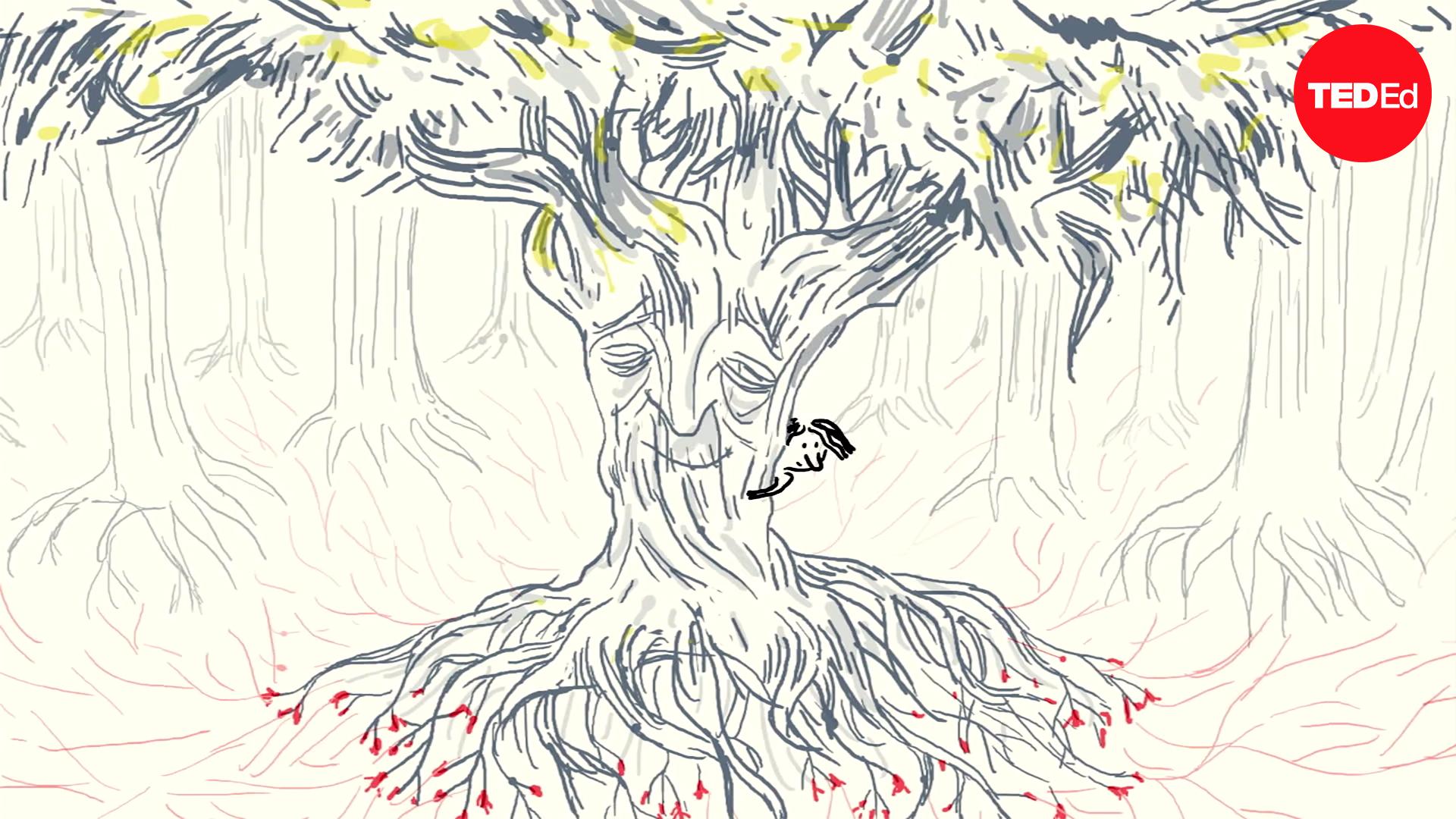 The secret language of trees