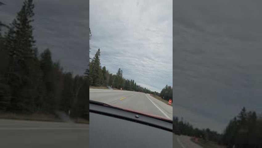 WTF? Bug Swarms Above Road - 20240502_162850