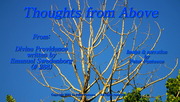 Thoughts From Above