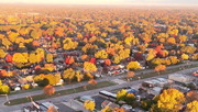 Fall From Above