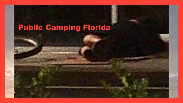 Above the law brown invader camping in public with a stolen bike attacking working Florida residents