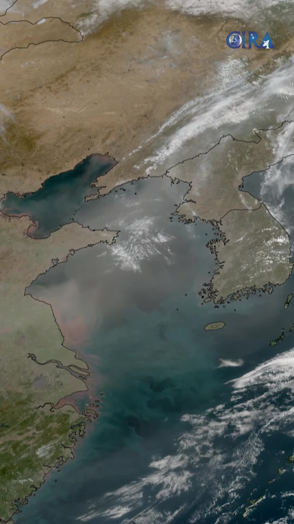 Dust Above the Yellow Sea (CIRA 2025-03-24 - nolabels portrait)