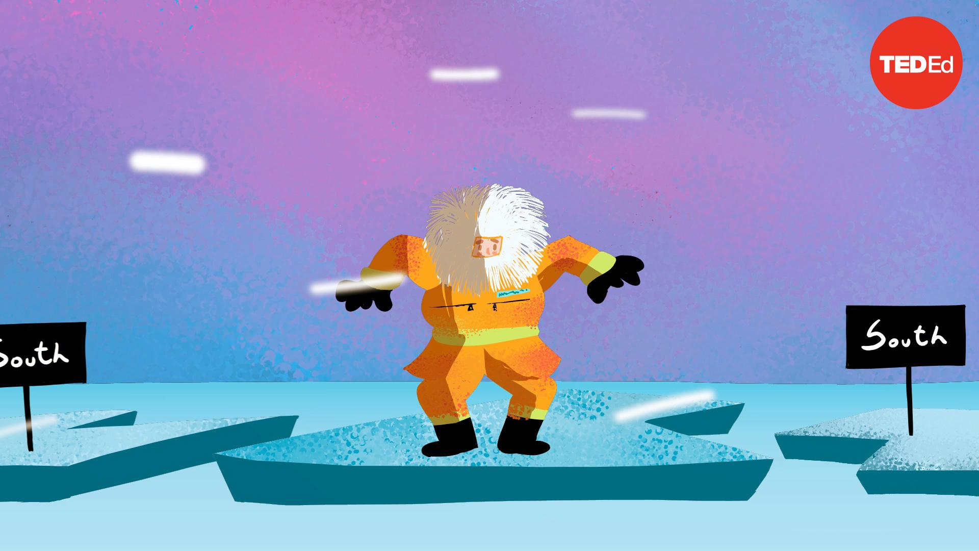 The Arctic vs. the Antarctic
