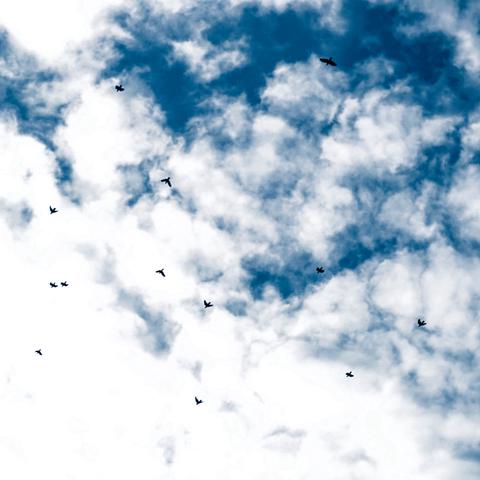 Something Above