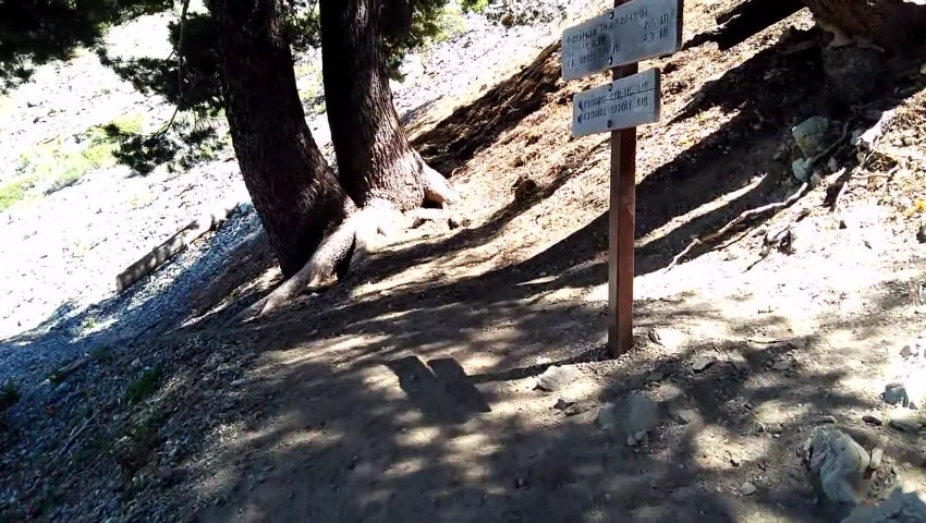 Icehouse Canyon and Chapman Trail Hike