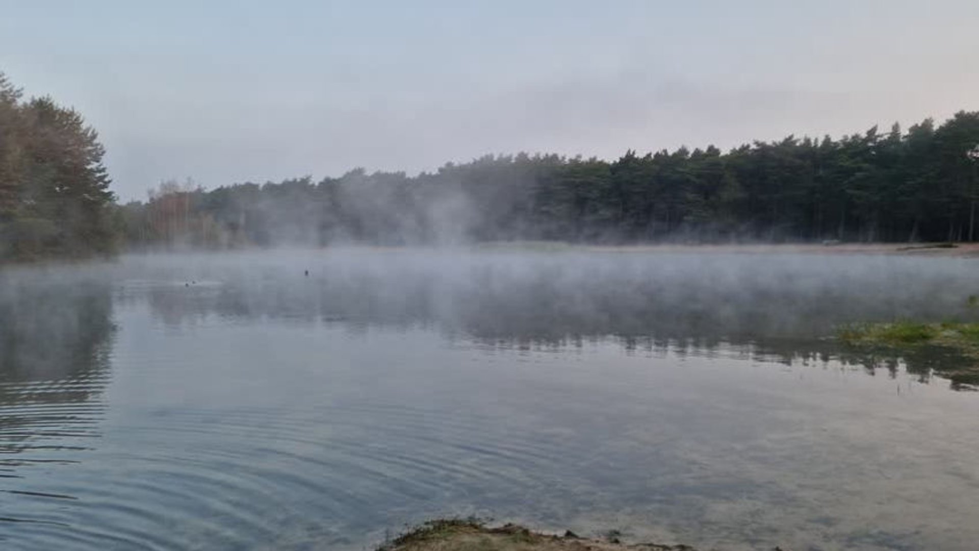 Misty waters