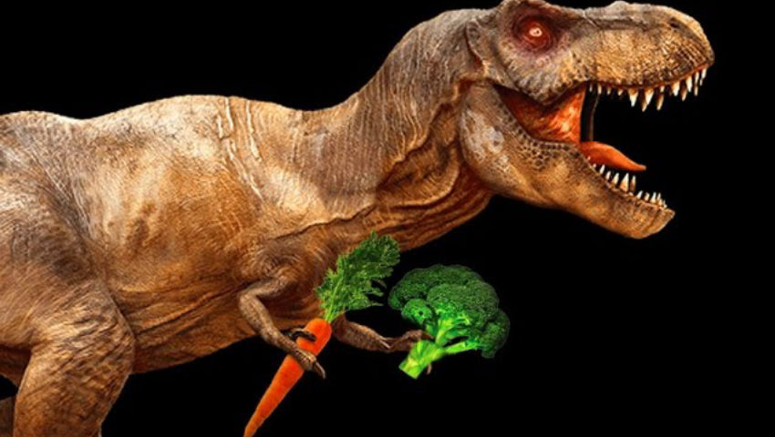 VEGETABLES FOR CARNIVORES - New Book /vegetarian recipes and food science