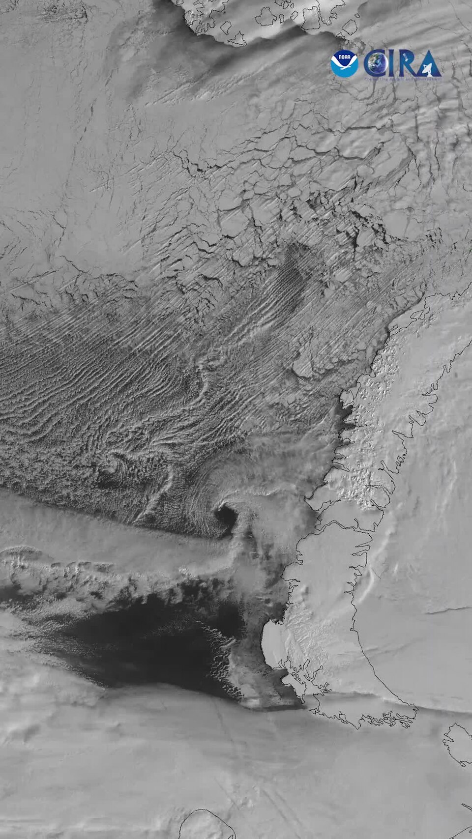 Swirling Clouds Above Barents Sea (CIRA 2024-04-15 - nolabels portrait)