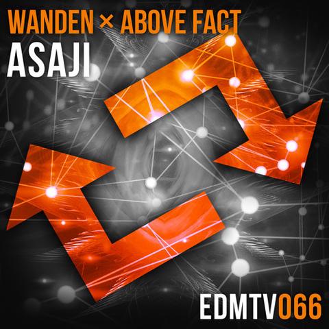 Wanden x Above Fact - Asaji