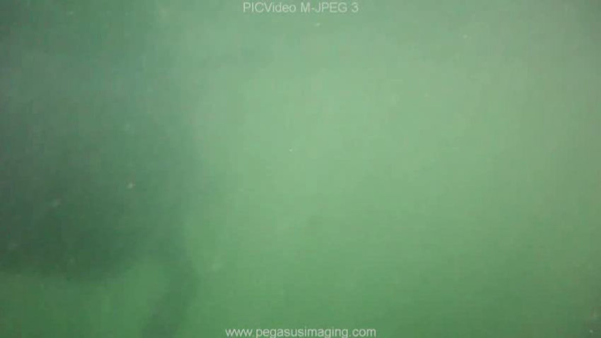 Chance swims - 16/08/2012