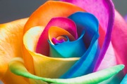 Beautiful Things