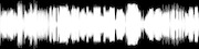 Paladin FM - Main 130